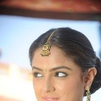 Asmitha sood hot pictures | Picture 53314